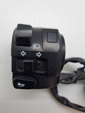 Ninja 300 Left Handlebar Switch