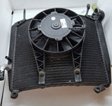 Triumph Daytona 600 Rad and Fan