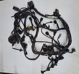Triumph Daytona 600 Main Wire Harness