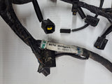Triumph Daytona 600 Main Wire Harness