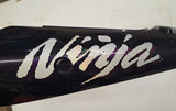 ZX-6R Tail Section