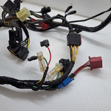 Vulcan 800 Wiring Harness