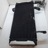 SV1000 Radiator