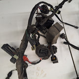 SV1000S Wiring Harness