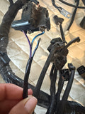 Triumph Daytona 600 Main Wire Harness