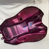 ZG1000 Concours Red Gas Tank
