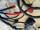 Honda NQ50 Spree Scooter Wiring Harness