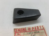 KZ1000 Left Fairing Cap