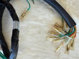 Honda NQ50 Spree Scooter Wiring Harness