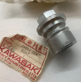 Kawasaki Fork Top Bolt