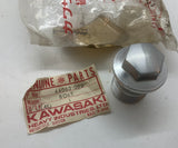 Kawasaki Fork Top Bolt