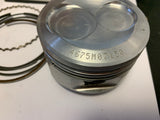 Timberwolf YFB250 Piston