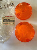 KZ1000 Police 1000 Front Signal Lens