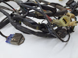 Phazer SS Wiring Harness