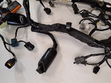 EX650R Ninja Wiring Harness