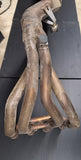 Triumph TT Exhaust