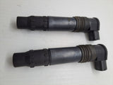EX650R Ninja Ignition Coils