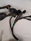Triumph TT600 Wiring Harnesses