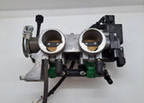 Ninja 300 Throttle Body Assembly