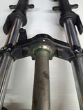 Ninja 300 Front Forks