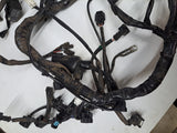 Triumph Daytona 600 Main Wire Harness