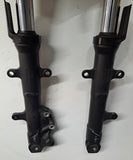 Ninja 300 Front Forks
