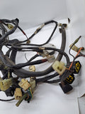 Phazer SS Wiring Harness