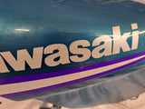 EX500 Gas Tank