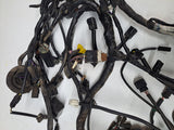 Triumph Daytona 600 Main Wire Harness
