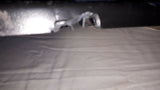 2006 POLARIS FUSION LIBERTY 600 H.O. RIGHT SIDE COVER, SIDE PANEL