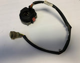 BigBear Warrior Moto 4 Handlebar Switch