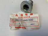 GL1500 Swingarm Bolt