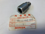 GL1500 Left Swingarm Bolt
