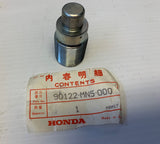 GL1500 Left Swingarm Bolt