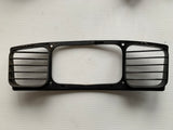 Polaris Headlight Grill
