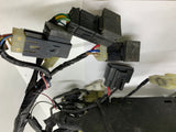 RX-1 Wiring Harness