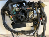 V65 Sabre Wire Harness