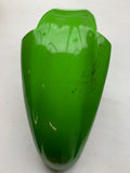 ZX6E Green Front Fender
