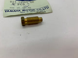 Yamaha Vintage Snowmobile Carb Screw