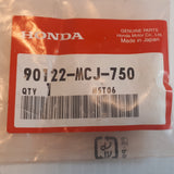 CBR900 CBR1000 Lever Pivot Bolt