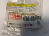 Yamaha Starter Motor Spring
