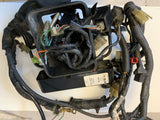 V65 SABRE Wiring Harness