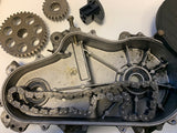 2006 Fusion 600 Chaincase