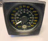 Blizzard TNT Speedo
