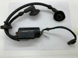 Kawasaki Intruder 440 Coil