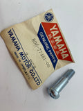 Yamaha Cowl Screw